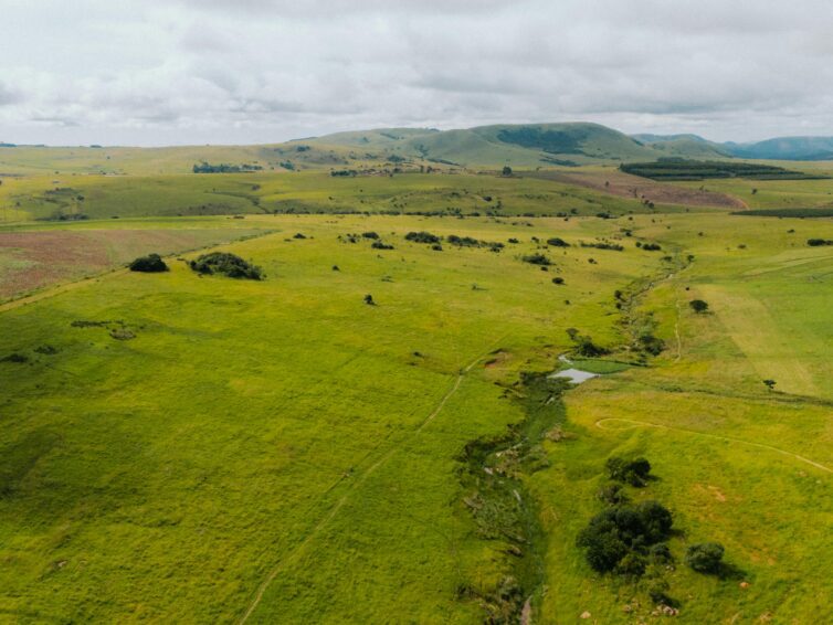 Department of Forestry EPWP Youth Employment Programme 2026