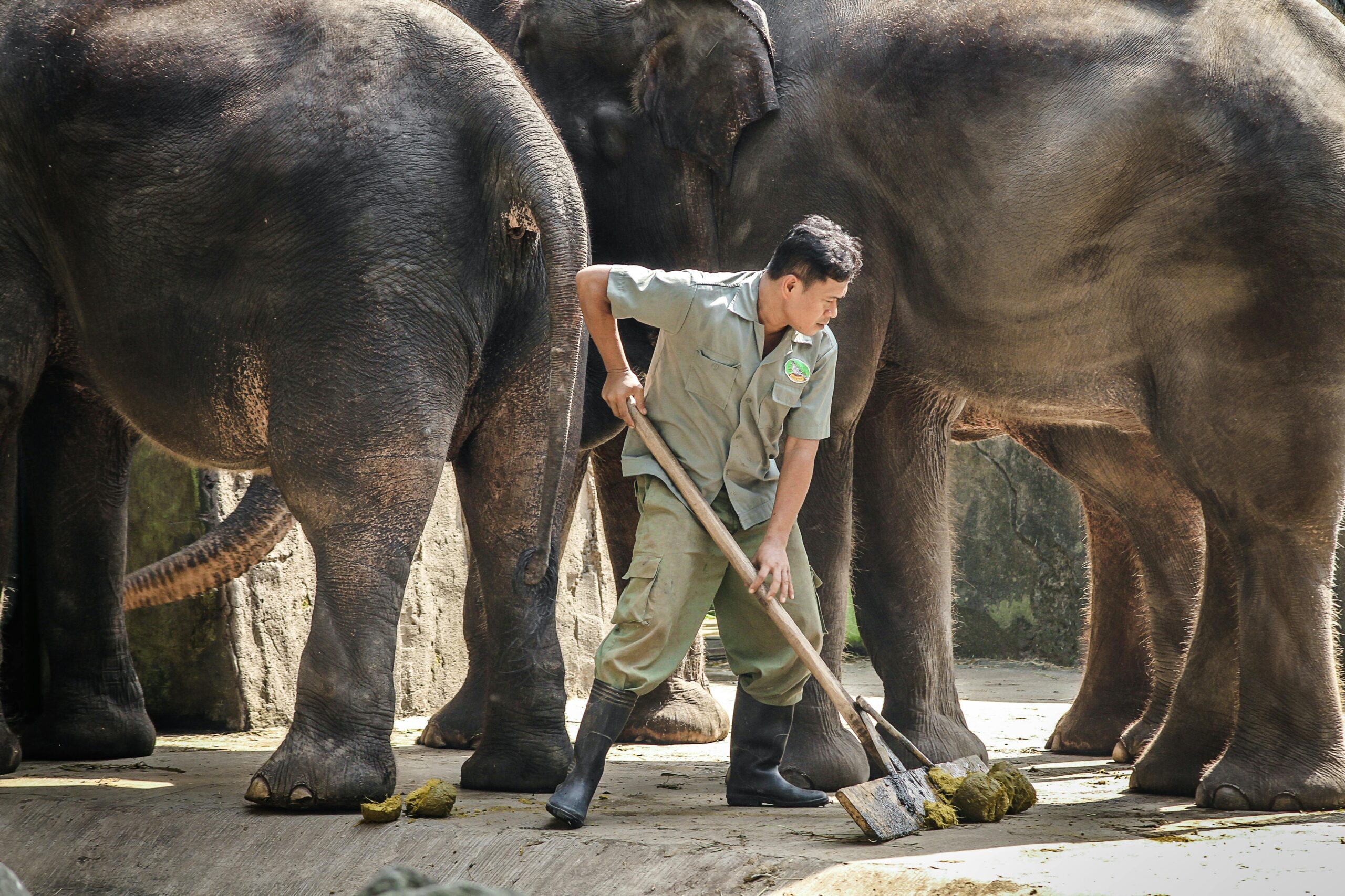General Worker Jobs 2026 – Animal Health Government Vacancy Apply Now.